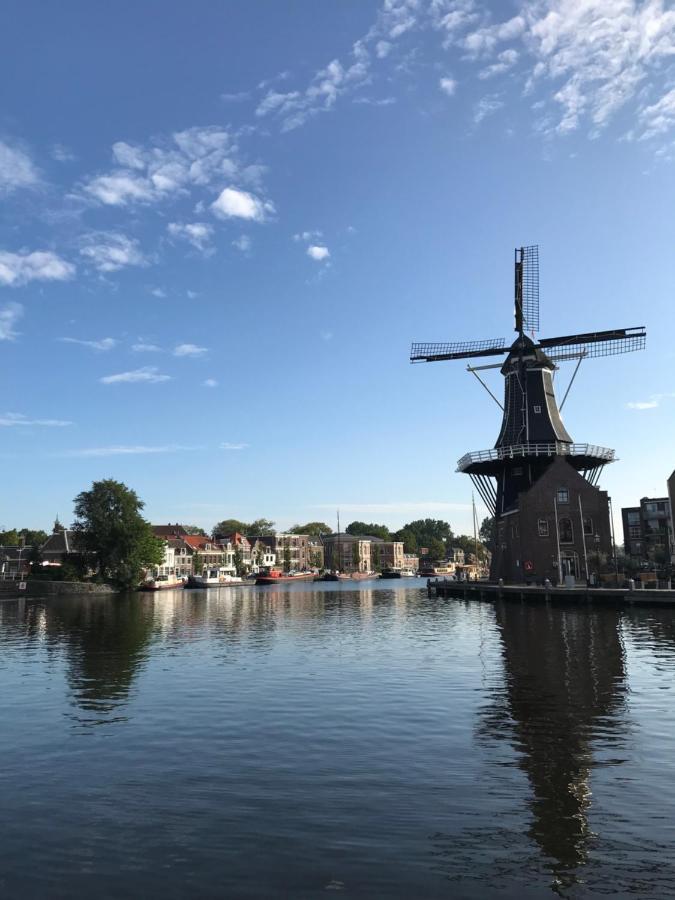 De Haarlemse Logeerkamer ภายนอก รูปภาพ
